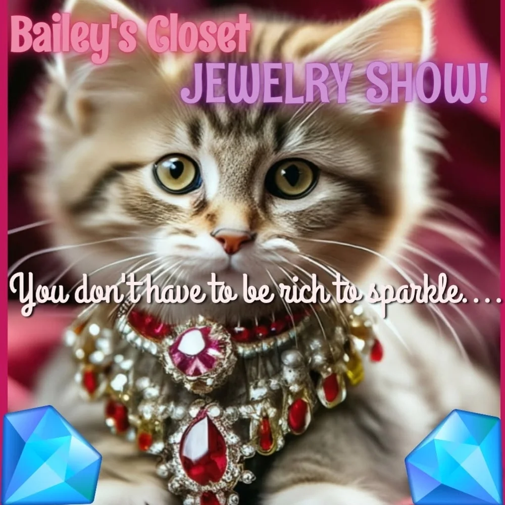 Bailey's Closet Jewelry Show - Picture 1 of 2